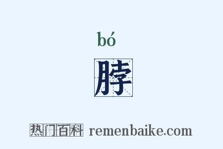 脖是什么意思的图片